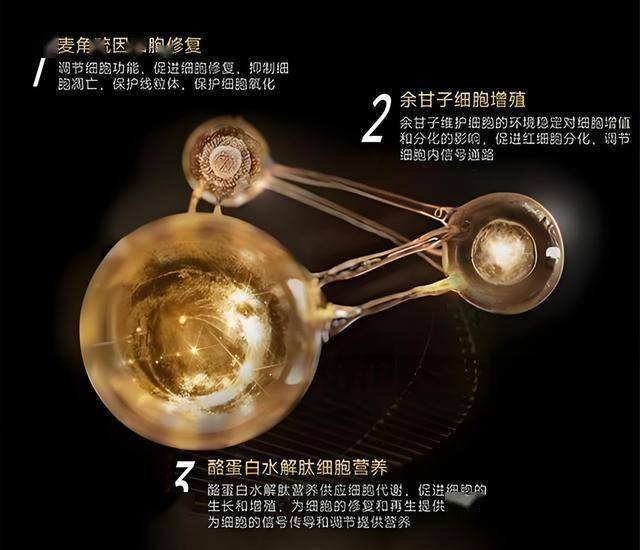 xm外汇官网网址是多少xm外汇平台受哪个监管？看看这些关键因素是否能变更你的理财决策！
