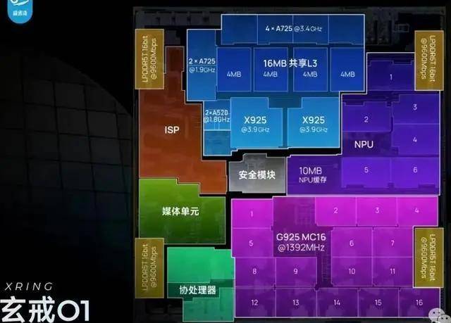竖屏Vlog｜啥？新华社记者跟机器人打起来了？